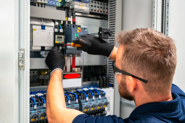Best Electrician for Home Renovation  in Mount Carroll, IL