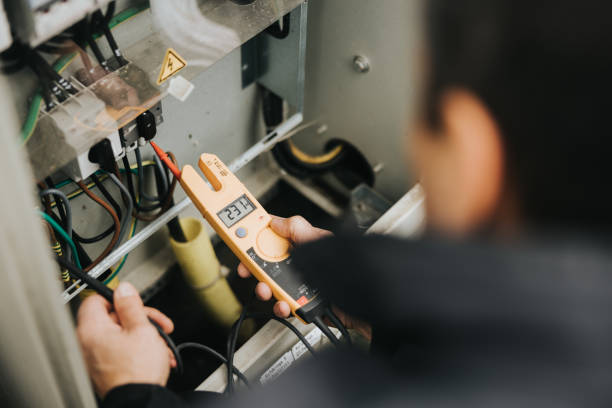 Best Home Electrical Repair  in Mount Carroll, IL