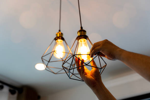 Best Outdoor Lighting Installation  in Mount Carroll, IL