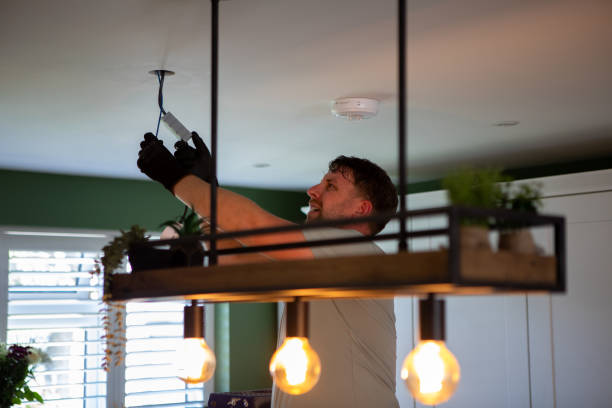 Best Circuit Breaker Repair  in Mount Carroll, IL