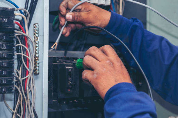 Best Licensed Electrician  in Mount Carroll, IL