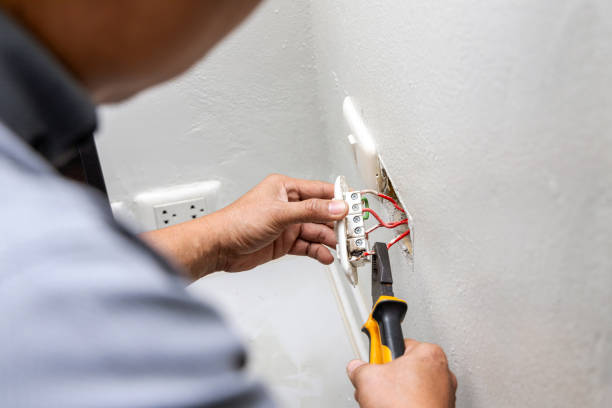 Best Home Electrical Repair  in Mount Carroll, IL