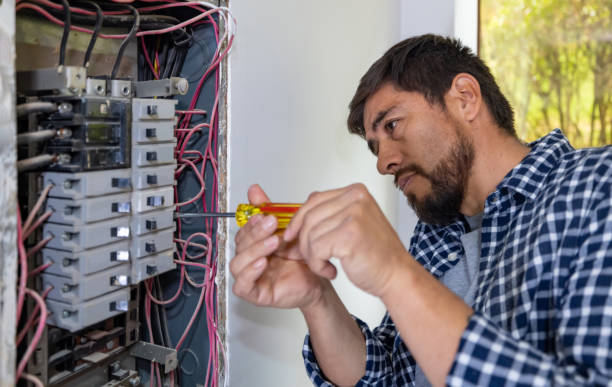 Best Electrician Near Me  in Mount Carroll, IL